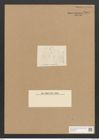 Amphora ostrearia var. minor Grun. (de-Toni-Nr.: Genus 36, Species 1504) Zeichnungen Sammlung Grunow Nr. 2905 (NHMW-BOT-W0370242)